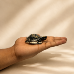 Shrifal Pyrite Tortoise (Kachhua) for Good Luck & Wealth - Image 2