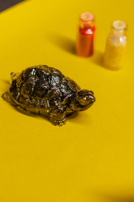 Vastu Pyrite Tortoise By Shrifal
