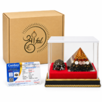 Shree Yantra Lakshmi Orgone Pyramid with Gomti Chakra, Rudraksha & Vastu Pyrite Tortoise